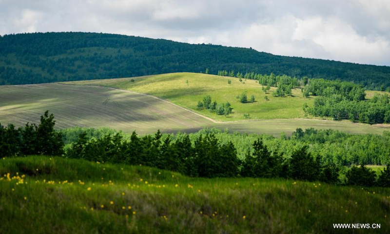 Photo taken on June 10, 2021 shows the grassland scenery along the No. 332 national highway in Hulun Buir, north China's Inner Mongolia Autonomous Region.Photo:Xinhua