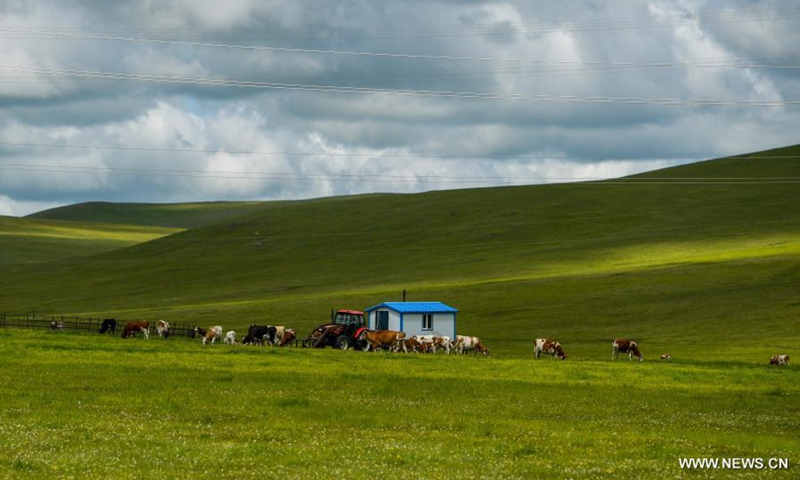 Photo taken on June 10, 2021 shows the grassland scenery along the No. 332 national highway in Hulun Buir, north China's Inner Mongolia Autonomous Region.Photo:Xinhua