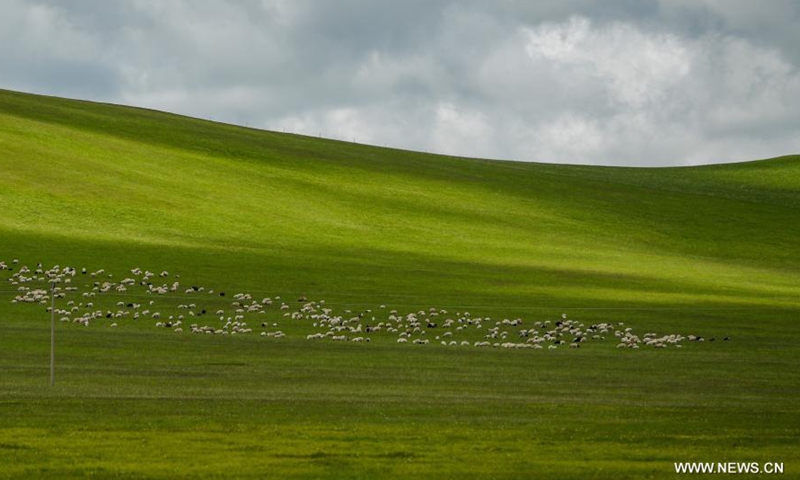 Photo taken on June 10, 2021 shows the grassland scenery along the No. 332 national highway in Hulun Buir, north China's Inner Mongolia Autonomous Region.Photo:Xinhua