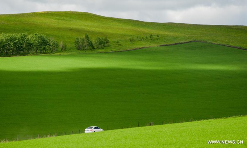 Photo taken on June 10, 2021 shows the grassland scenery along the No. 332 national highway in Hulun Buir, north China's Inner Mongolia Autonomous Region.Photo:Xinhua