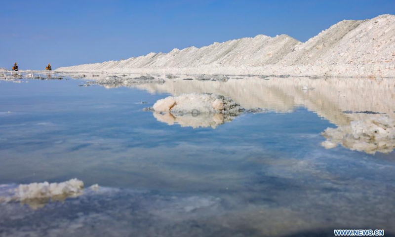 Workers collect crude salt on Manas Lake in Hoboksar of northwest China's Xinjiang Uygur Autonomous Region, June 21, 2021.(Photo: Xinhua)