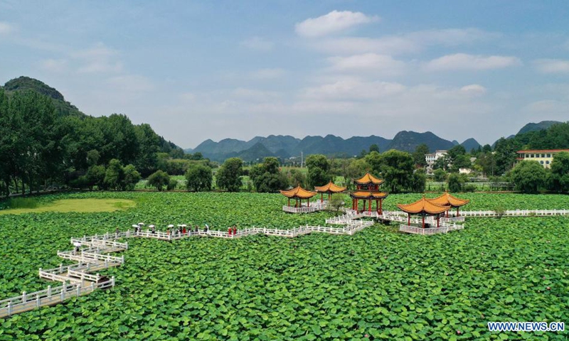 Aerial photo taken on June 22, 2021 shows visitors enjoying lotus flowers at a scenic area in Anlong County, southwest China's Guizhou Province.(Photo: Xinhua)