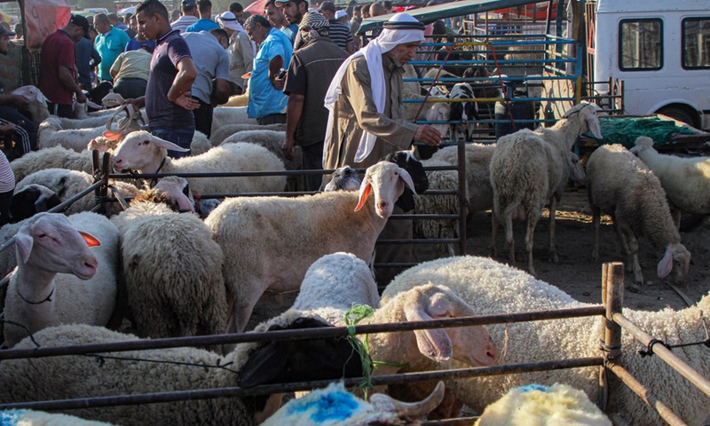 Palestinians buy sheeps at a livestock market ahead of Eid al-Adha, or Feast of Sacrifice, in the Deir al-Balah refugee camp in central Gaza Strip, July 13, 2021.(Photo: Xinhua)