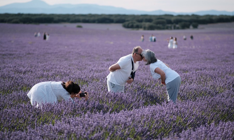 Tourists have fun in a lavender field in Brihuega, Spain, July 13, 2021.(Photo: Xinhua)