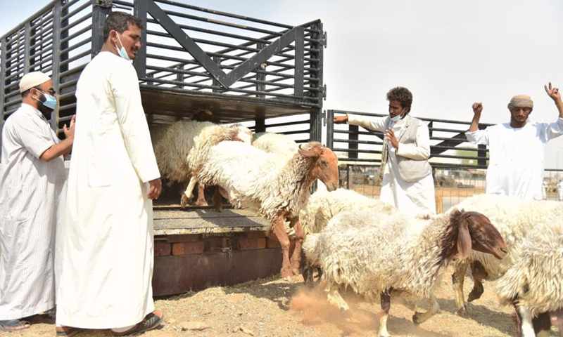 Vendors stock up on more sheep to meet the demand ahead of the Eid al-Adha Festival at a market in southwestern Riyadh, Saudi Arabia, July 16, 2021.Photo:Xinhua