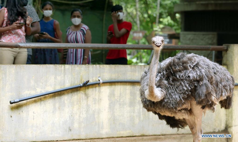 People visit the reopened Dehiwala Zoo in Colombo, Sri Lanka, on July 31, 2021. The Dehiwala Zoo in Colombo reopened to public recently after it was closed to prevent the spread of the coronavirus in early May.(Photo: Xinhua)