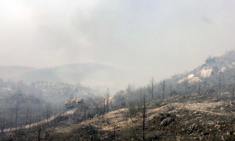 A forest fire has left behind burnt trees and scorched land near the town of Manavgat, east of the resort city of Antalya, Turkey, July 31, 2021.(Photo: Xinhua)