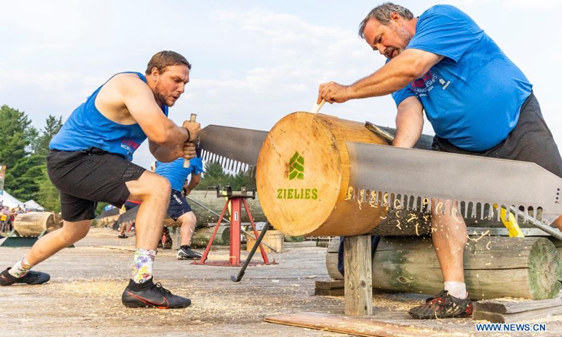 A man uses a crosscut saw to cut wood during the 61st Lumberjack World Championships in Hayward, Wisconsin, the United States, on July 31, 2021. The championships held here showcased lumberjacks and lumberjills competing in sawing, chopping, speed climbing, log rolling, and boom-running.(Photo: Xinhua)