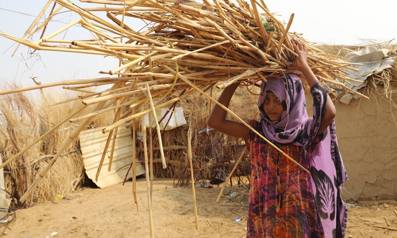 A girl carries a bundle of hay to feed livestock inside a remote village in Midi District, Hajjah Province, north Yemen on Aug. 14, 2021.(Photo: Xinhua)