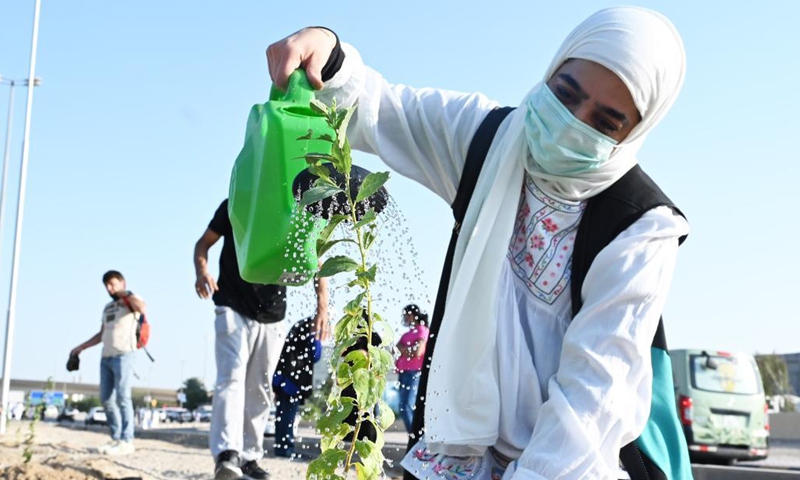 A woman waters a sapling during a tree-planting campaign in Capital Governorate, Kuwait, on Oct. 2, 2021. Kuwait launched on Saturday a tree-planting campaign in the Capital Governorate in an endeavor to address climate challenges. (Photo: Xinhua)