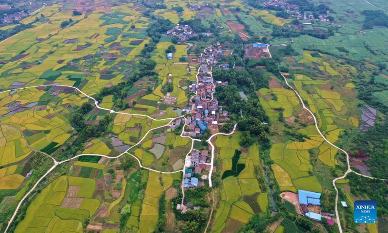 Aerial photo taken on Oct. 23, 2021 shows the countryside scenery at Xingui Village of Rongan County, south China's Guangxi Zhuang Autonomous Region.(Photo: Xinhua)