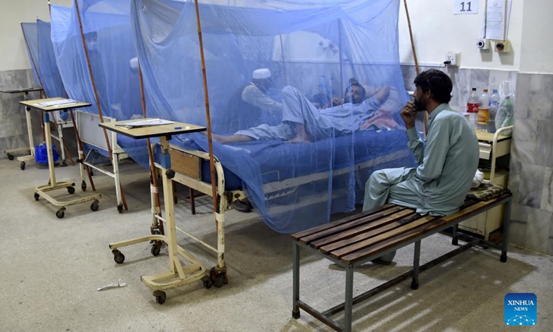 A patient affected with dengue fever is seen inside a mosquito net at a hospital in Islamabad, capital of Pakistan on Nov. 3, 2021. The Pakistani capital Islamabad has been experiencing a continuous increase in dengue fever cases as 94 more patients were reported in the last 24 hours, health authorities said Wednesday.(Photo: Xinhua)