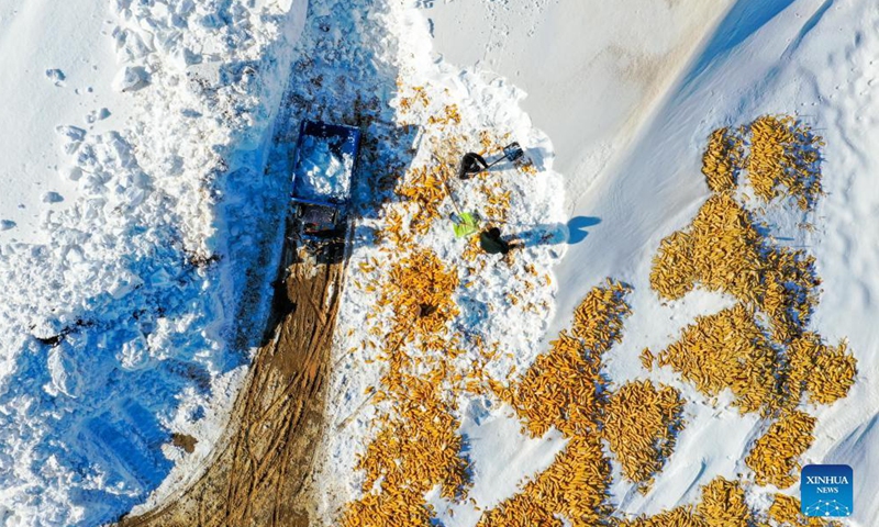 Aerial photo shows villagers clearing snow in Kulun Banner of Tongliao, north China's Inner Mongolia Autonomous Region, Nov. 13, 2021.Photo:Xinhua