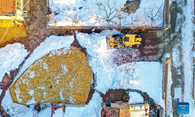 Aerial photo shows villagers clearing snow in Kulun Banner of Tongliao, north China's Inner Mongolia Autonomous Region, Nov. 12, 2021.Photo:Xinhua