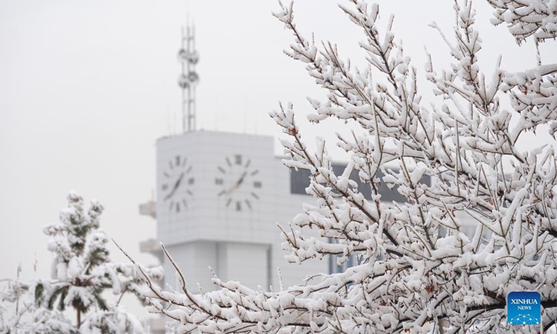 A snow scene is seen in Tashkent, Uzbekistan, Nov. 17, 2021. Tashkent witnessed a snowfall on Wednesday. (Xinhua)