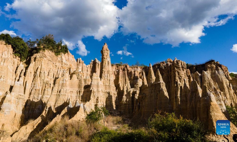 Photo taken on Nov. 17, 2021 shows the scenery of earth forest in Yuanmou County, southwest China's Yunnan Province. The earth forest, which was formed by geological movement and soil erosion, is basically in color of yellow and the color varies in different parts. (Xinhua)