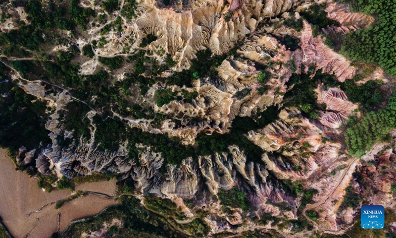 Photo taken on Nov. 17, 2021 shows the scenery of earth forest in Yuanmou County, southwest China's Yunnan Province. The earth forest, which was formed by geological movement and soil erosion, is basically in color of yellow and the color varies in different parts. (Xinhua)