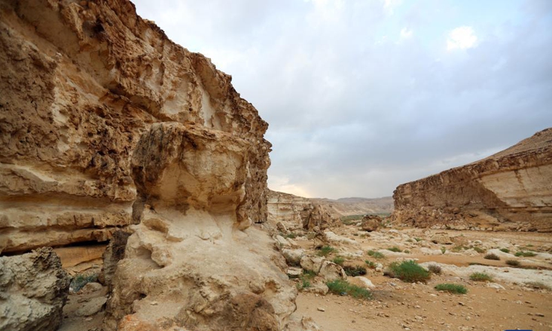 Photo taken on Nov. 20, 2021 shows the scenery at Wadi Degla natural protectorate in Cairo, Egypt. Wadi Degla is one of the important valleys that are located in the capital Cairo.Photo:Xinhua