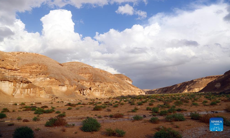 Photo taken on Nov. 20, 2021 shows the scenery at Wadi Degla natural protectorate in Cairo, Egypt. Wadi Degla is one of the important valleys that are located in the capital Cairo.Photo:Xinhua