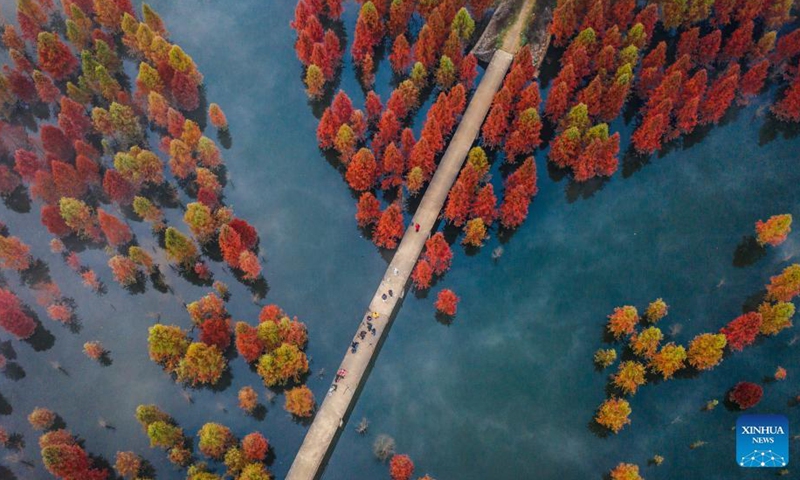 Aerial photo taken on Dec. 10, 2021 shows the scenery of a wetland in Panlong District in Kunming, southwest China's Yunnan Province. The wetland is located at Songhuaba water source reserve, also the upper reaches of the Dianchi Lake.Photo:Xinhua