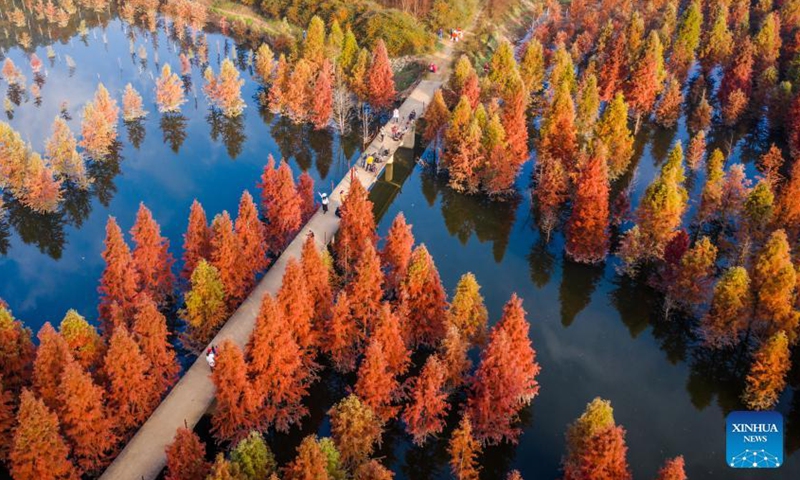 Aerial photo taken on Dec. 10, 2021 shows the scenery of a wetland in Panlong District in Kunming, southwest China's Yunnan Province. The wetland is located at Songhuaba water source reserve, also the upper reaches of the Dianchi Lake.Photo:Xinhua