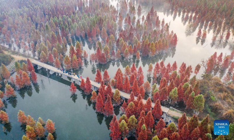 Aerial photo taken on Dec. 10, 2021 shows the scenery of a wetland in Panlong District in Kunming, southwest China's Yunnan Province. The wetland is located at Songhuaba water source reserve, also the upper reaches of the Dianchi Lake.Photo:Xinhua