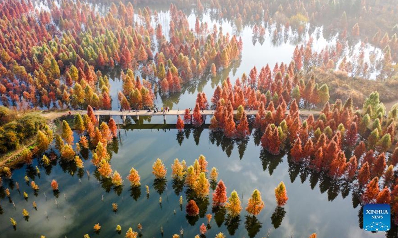 Aerial photo taken on Dec. 10, 2021 shows the scenery of a wetland in Panlong District in Kunming, southwest China's Yunnan Province. The wetland is located at Songhuaba water source reserve, also the upper reaches of the Dianchi Lake.Photo:Xinhua