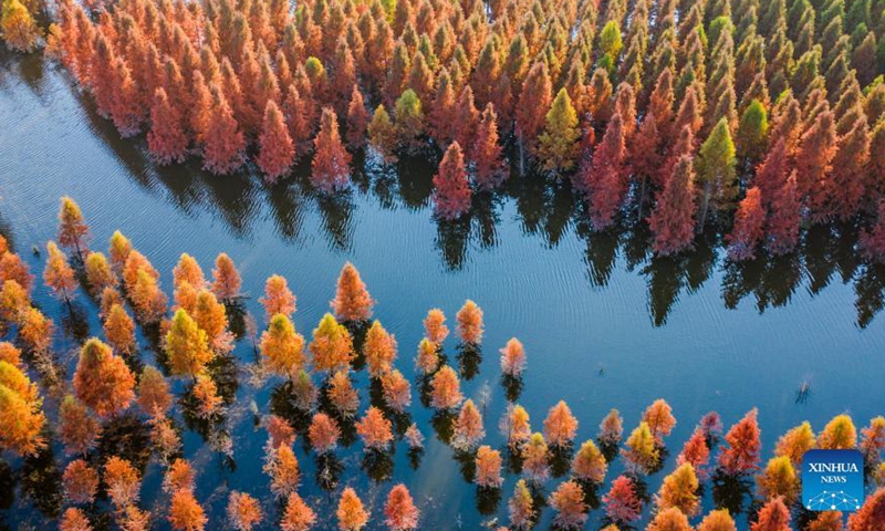 Aerial photo taken on Dec. 10, 2021 shows the scenery of a wetland in Panlong District in Kunming, southwest China's Yunnan Province. The wetland is located at Songhuaba water source reserve, also the upper reaches of the Dianchi Lake.Photo:Xinhua