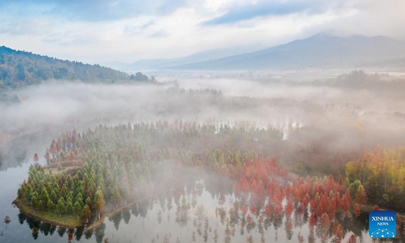 Aerial photo taken on Dec. 10, 2021 shows the scenery of a wetland in Panlong District in Kunming, southwest China's Yunnan Province. The wetland is located at Songhuaba water source reserve, also the upper reaches of the Dianchi Lake.Photo:Xinhua