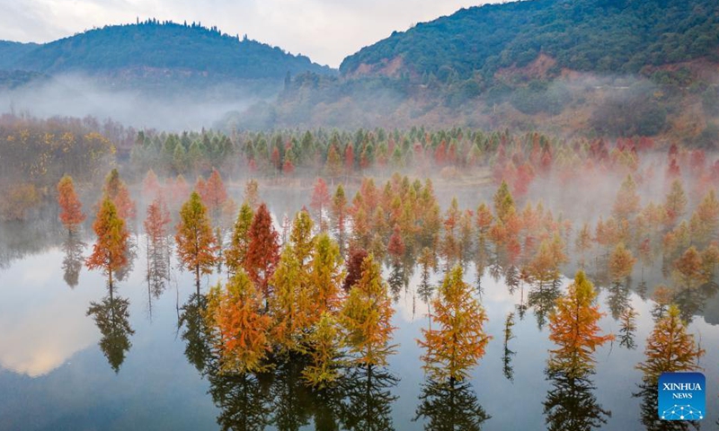 Aerial photo taken on Dec. 10, 2021 shows the scenery of a wetland in Panlong District in Kunming, southwest China's Yunnan Province. The wetland is located at Songhuaba water source reserve, also the upper reaches of the Dianchi Lake.Photo:Xinhua