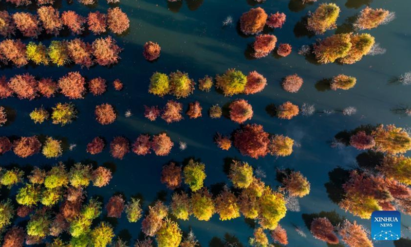 Aerial photo taken on Dec. 10, 2021 shows the scenery of a wetland in Panlong District in Kunming, southwest China's Yunnan Province. The wetland is located at Songhuaba water source reserve, also the upper reaches of the Dianchi Lake.Photo:Xinhua