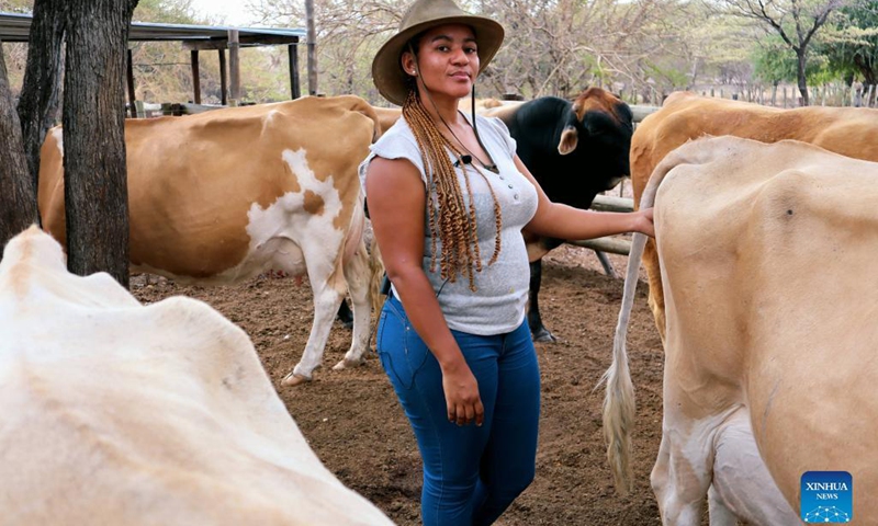 Nonny Wright, the 32-year-old owner of a commercial farming business called Lopey Inc, is seen at Sereledi farm in Polokabatho, 7 km outside Maun, Botswana, Nov. 12, 2021. During the 2019 drought, I lost 85 percent of my dairy cows, reveals Wright.(Photo: Xinhua)