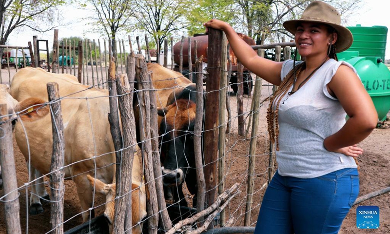 Nonny Wright, the 32-year-old owner of a commercial farming business called Lopey Inc, is seen at Sereledi farm in Polokabatho, 7 km outside Maun, Botswana, Nov. 12, 2021. During the 2019 drought, I lost 85 percent of my dairy cows, reveals Wright.(Photo: Xinhua)