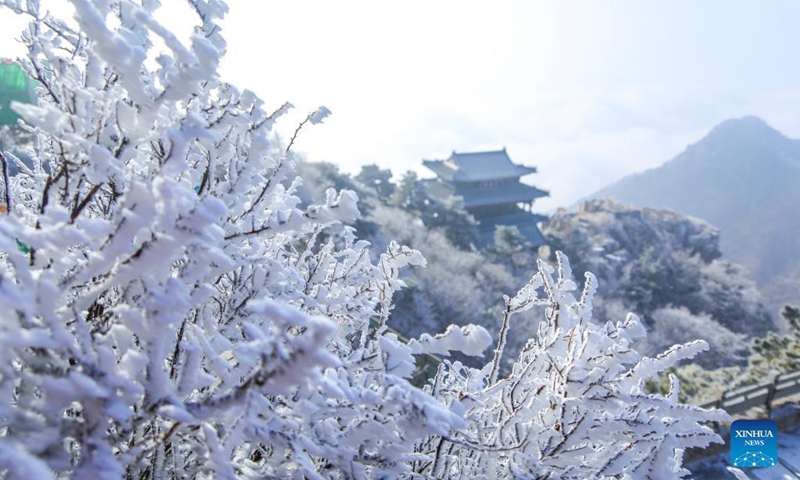 Photo shows rime-covered trees at Taishan Mountain in Tai'an, east China's Shandong Province, Dec. 14, 2021.(Photo: Xinhua)