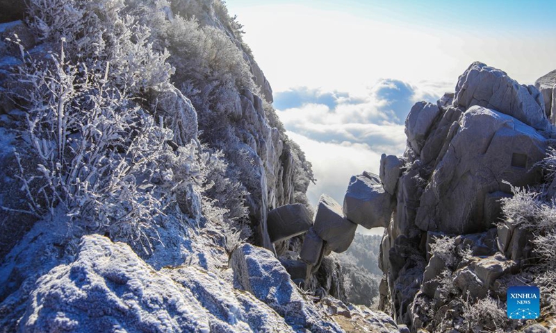 Photo shows rime-covered trees at Taishan Mountain in Tai'an, east China's Shandong Province, Dec. 14, 2021.(Photo: Xinhua)