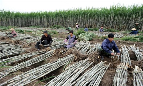 Harvest time - Global Times