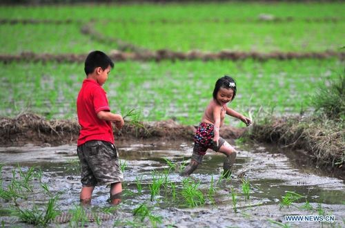 Children enjoy summer vacation in Guangxi's rural areas - Global Times