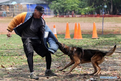 Rabies Awareness Month celebrated in Philippines - Global Times