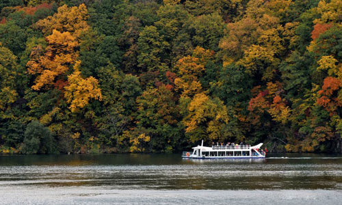 China's NE region enters season of viewing Autumn foliage - Global Times