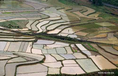 Amazing scenery of terraced fields at Wuzhuan, China's Guangxi - Global ...