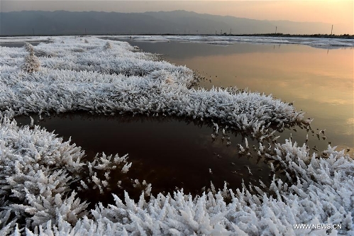 In pics: scenery of Salt Lake in N China's Shanxi - Global Times