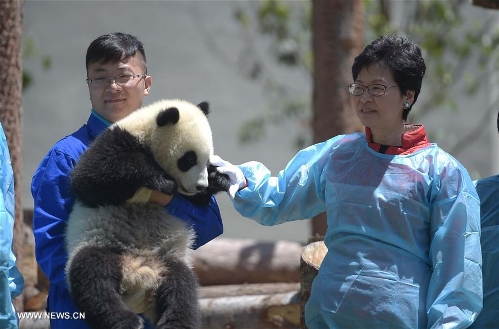 Wolong National Nature Reserve officially operates in China's Sichuan ...