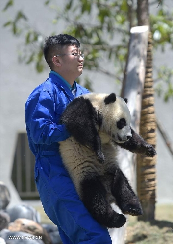 Wolong National Nature Reserve officially operates in China's Sichuan ...