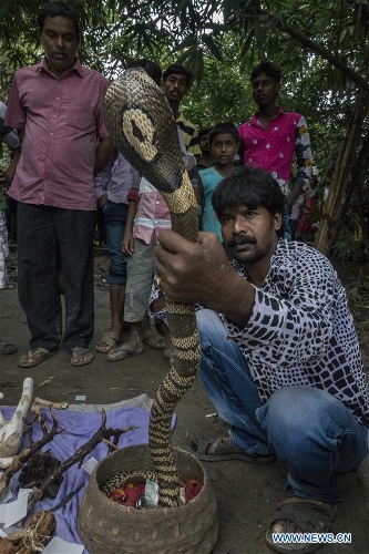 Traditional festival to worship snake goddess marked in India - Global ...