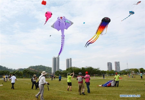 Kite tournament kicks off in Yangjiang, China's Guangdong - Global Times