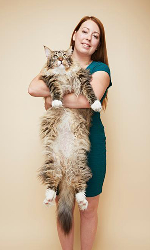 Meet Ludo the world's longest domestic cat - Global Times