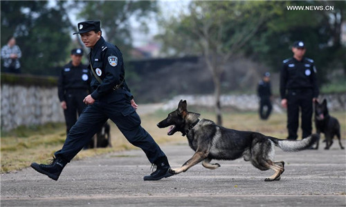 Police dogs allocated to travelling stations during Spring Festival in ...