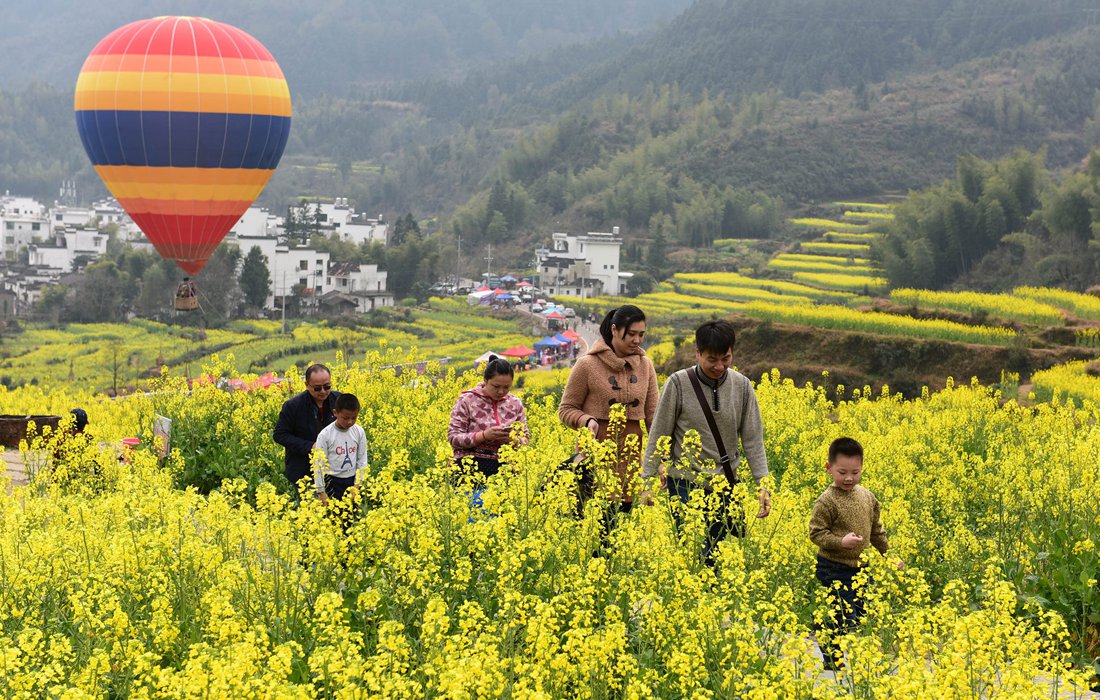 Rapeseed flower fields bloom in China’s Wuyuan - Global Times