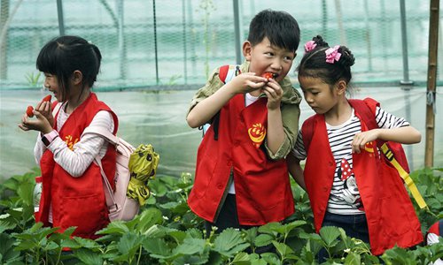 Rural living environment improved in east China's Zhejiang - Global Times