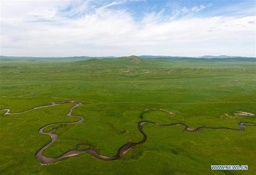 Grassland scenery of Xilingol, north China's Inner Mongolia - Global Times